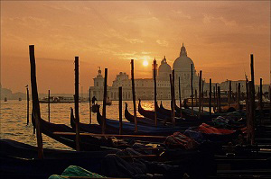 Tourist Information  Venice